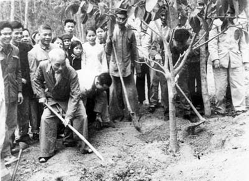Bác Hồ với mùa xuân